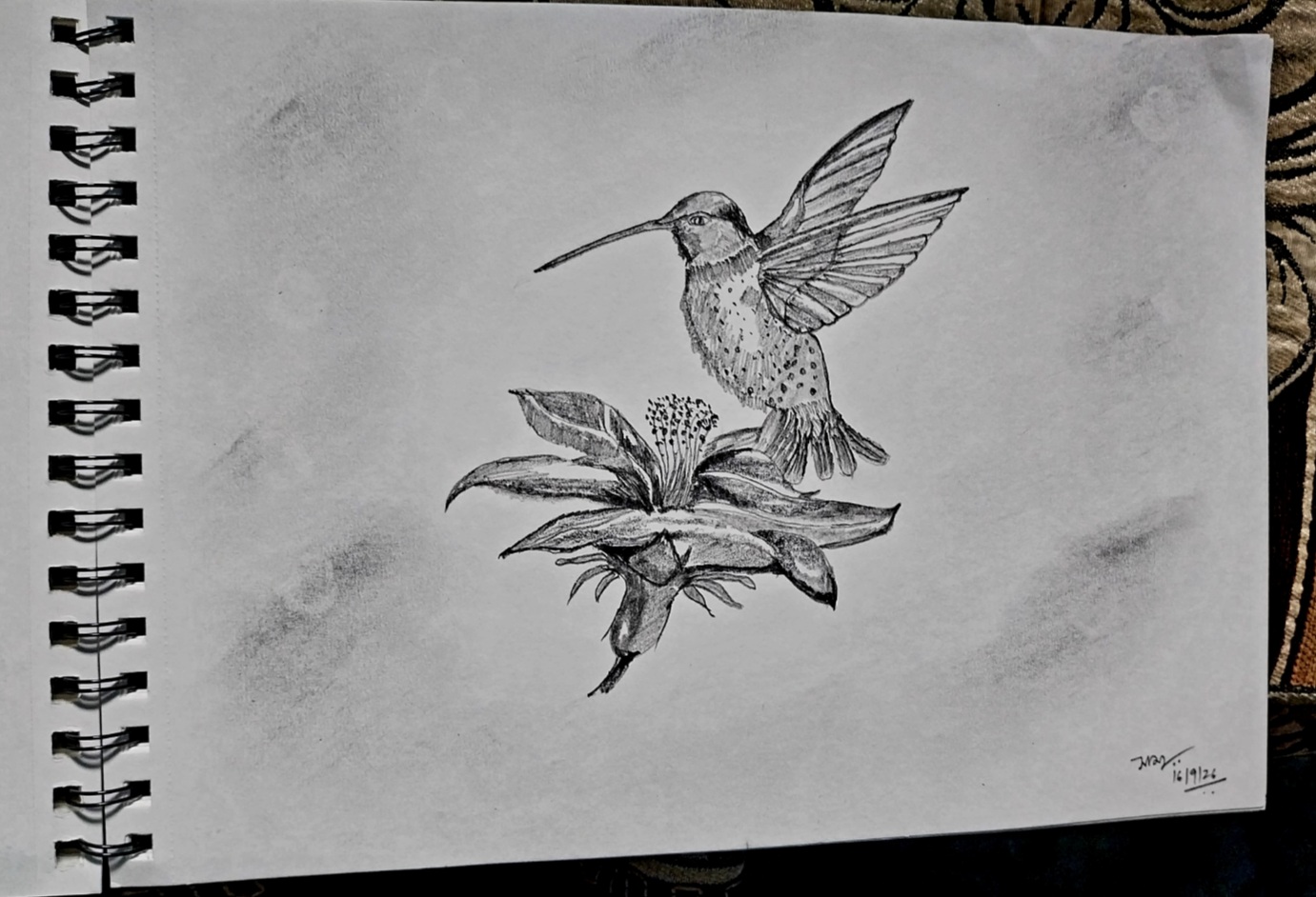 Another view of Hummingbird — Between Petals