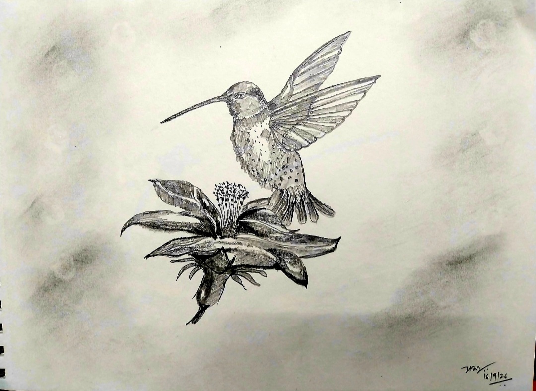 Hummingbird — Between Petals by Samya Bandyopadhyay