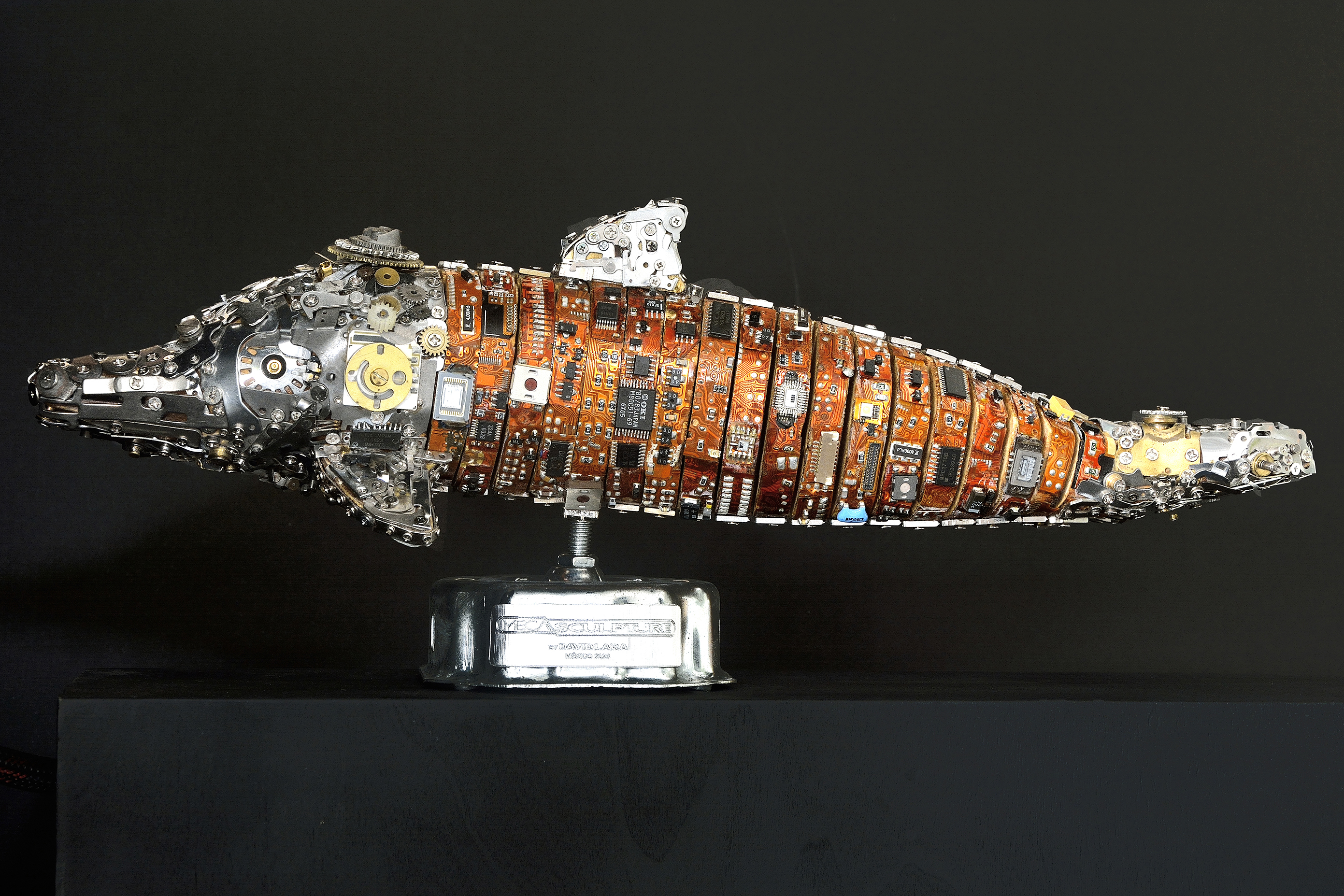 Another view of Dolphin