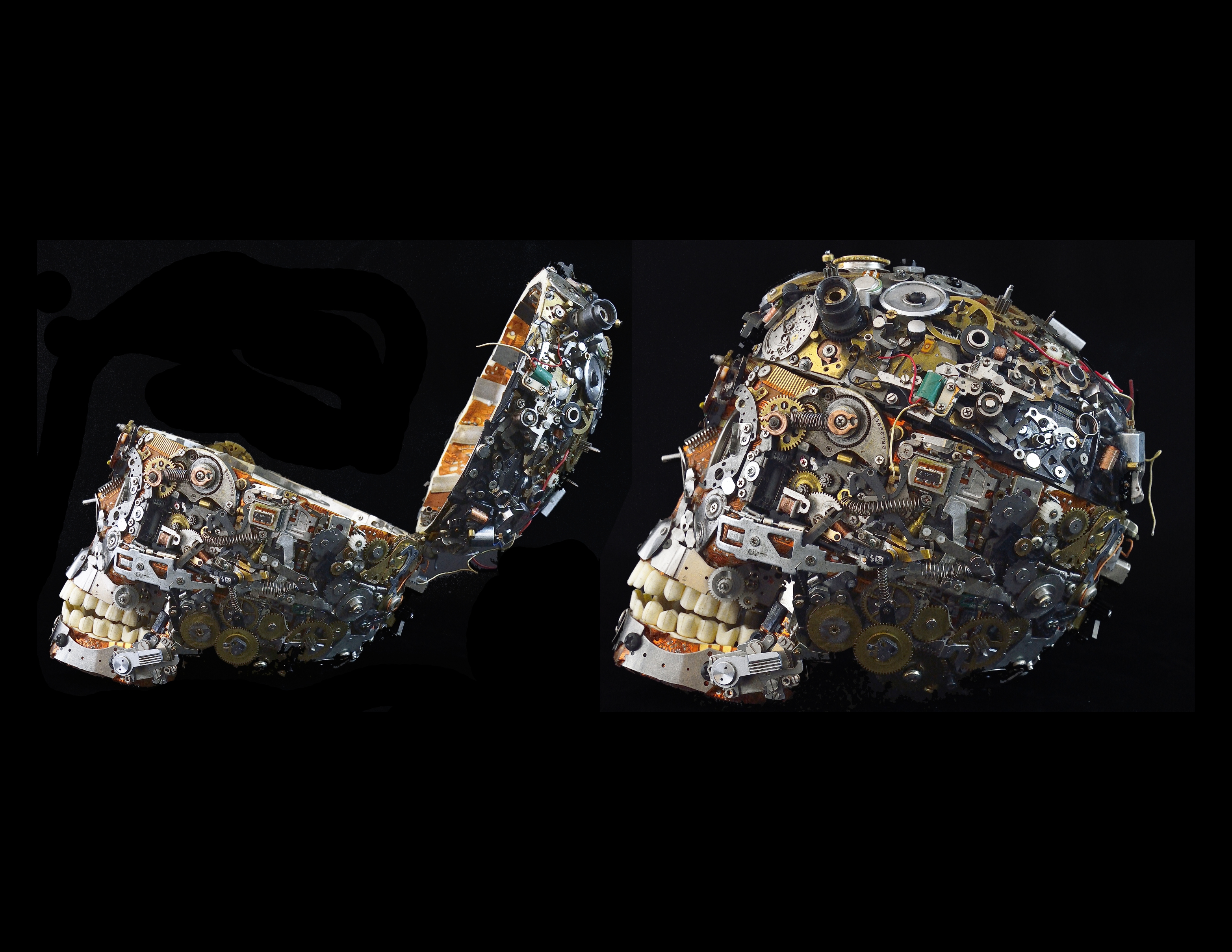 Another view of Skull
