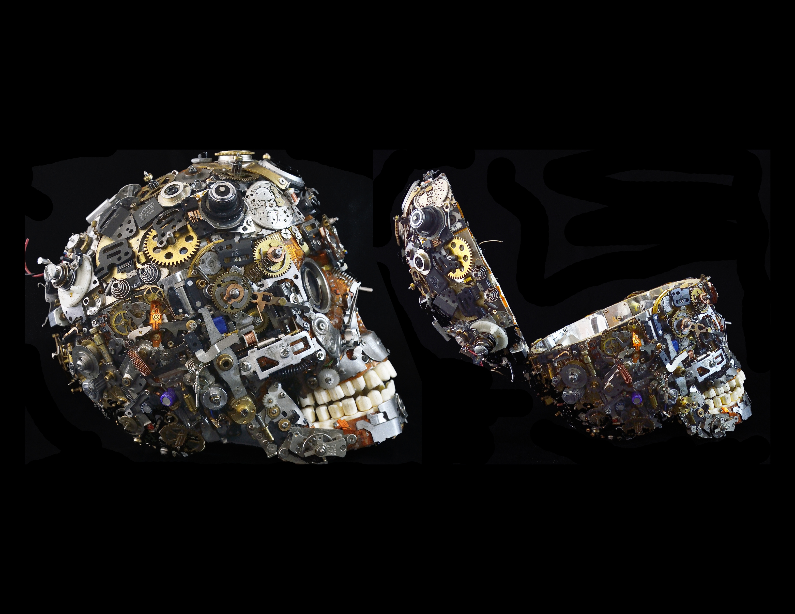 Another view of Skull