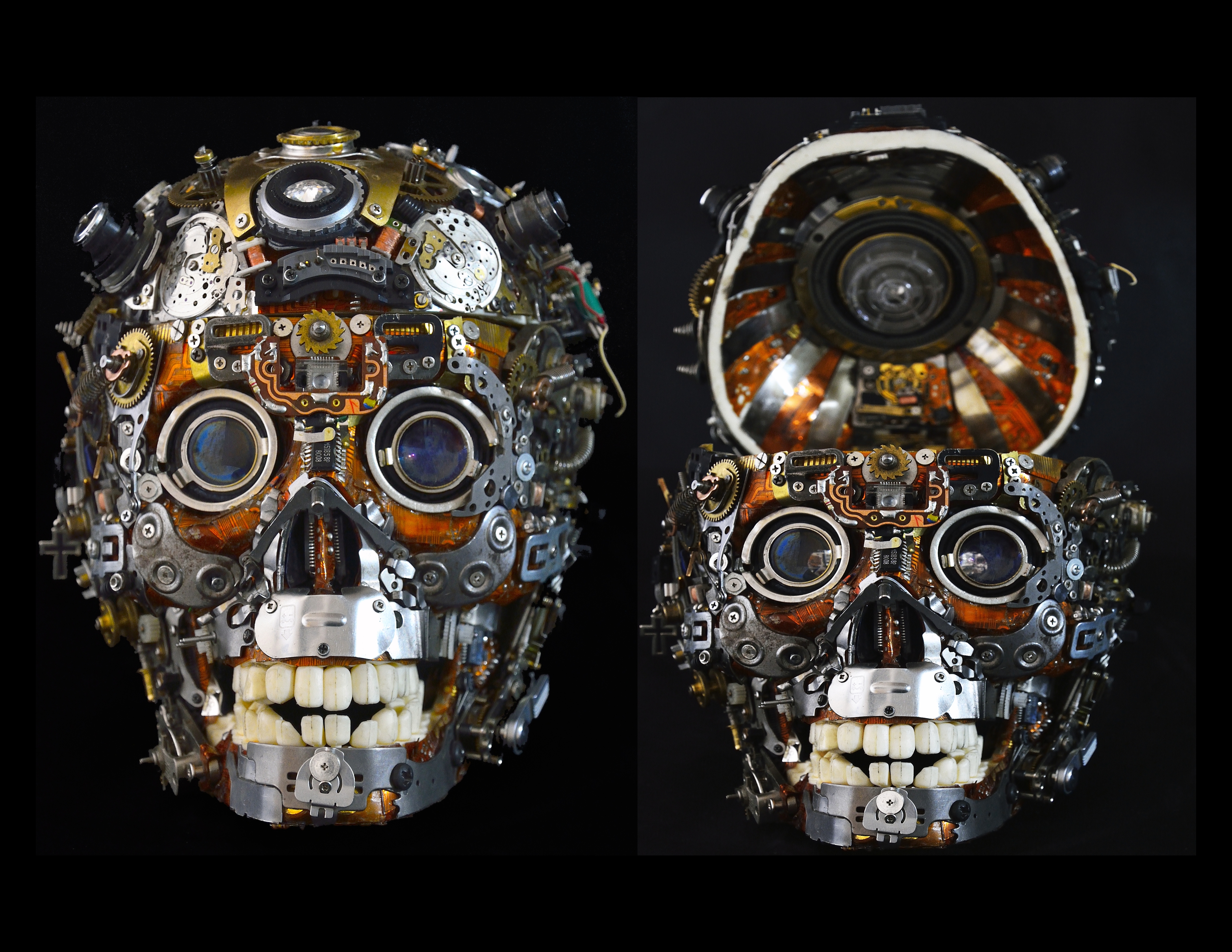 Skull by David Lara