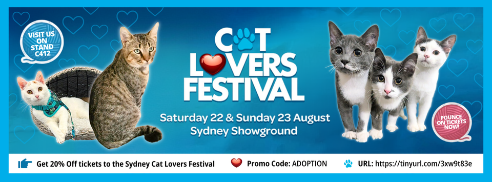 The Cat Sanctuary - Australia